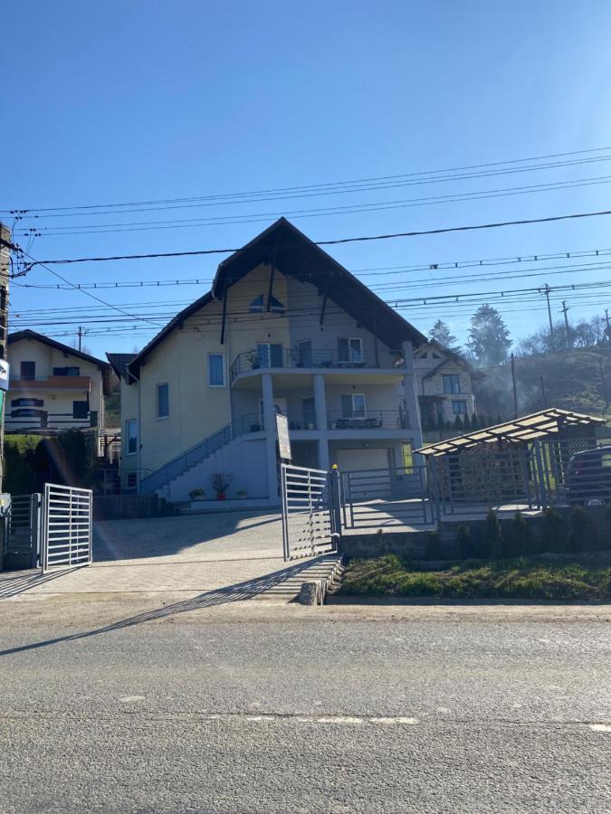 Casa Alessias Hotel Viseu de Sus Exterior photo